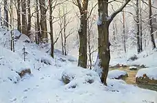 Stream in a Wintry Forest