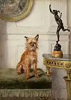 Walter Palmer, Brussels Griffon by Frances C. Fairman, 1899