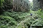 Keiryū-style fields. This style is widely used around the Chūgoku Mountains: Shimane, Yamaguchi, Hyogo, Okayama, and Hiroshima Prefectures. It is therefore also called the Chūgokusankei system. The fields are made along mountain streams using the natural geographical features.