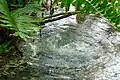 Natural artesian spring