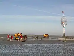 Mudflat car with day trippers in the Sahlenburger Watt near Cuxhaven, on the way to the island of Neuwerk