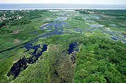 Cape May's wetlands