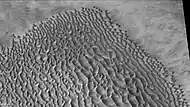 Dune field on floor of Proctor crater, as seen by CTX camera on Mars Reconnaissance Orbiter.