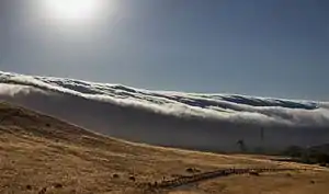 Edgewood County Park trail with fog rolling over the Santa Cruz mountains