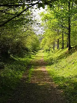 Wye Valley Walk