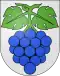 Coat of arms of Wynau