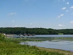 A tree-lined lake with lily pads and four pontoon boats at a dock in the distance