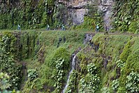 Tourists downhill mountain biking