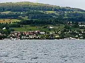 Paddle steamers Stadt Rapperswil (to the left) and Stadt Zürich on centennial tour, Pfannenstiel summit in the background (June 2009)