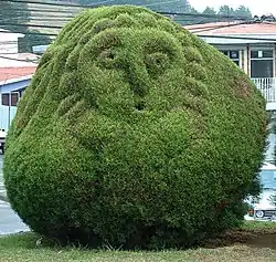 Topiary at Parque Francisco Alvarado in Zarcero