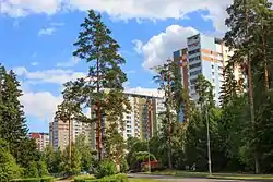 Zelenograd 9th Microdistrict, Staroye Kryukovo District