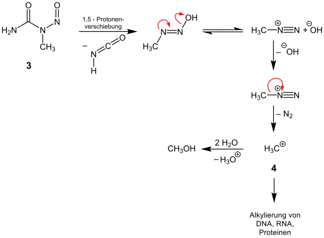 Zerfall eines N-Nitrosoharnstoffs zu einem alkylierenden Intermediat