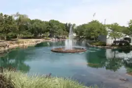 Pond fountain