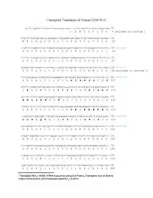 Bolded text indicates conserved amino acids from distant orthologs